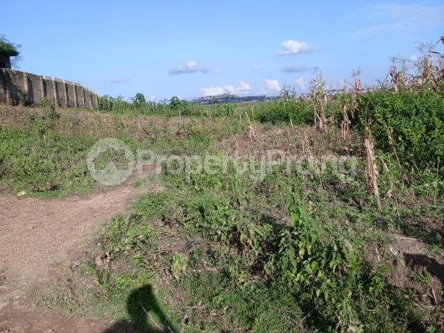 Buy 100 By 100 Land in Kurudu Abuja 4LYGE | PropertyPro Nigeria