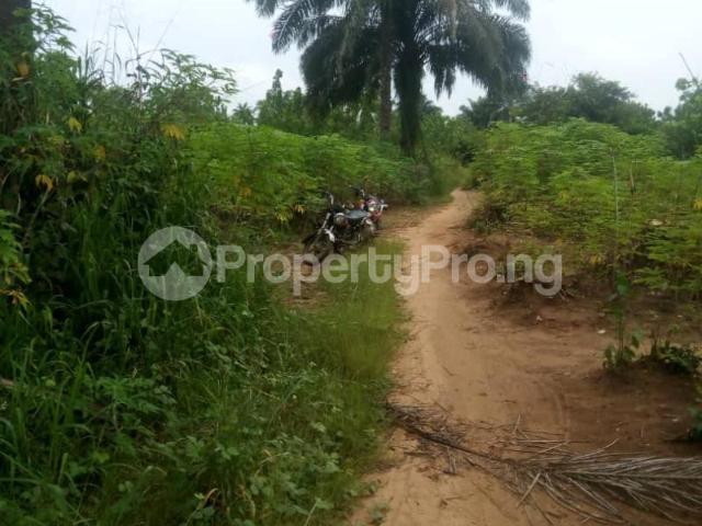 Buy 10 Plots Of Land in Ohaji/Egbema Imo 1MHZD | PropertyPro Nigeria