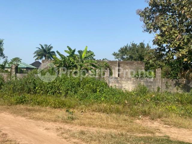 Buy 1480sqm Land in Akure Ondo 2MEGJ | PropertyPro Nigeria