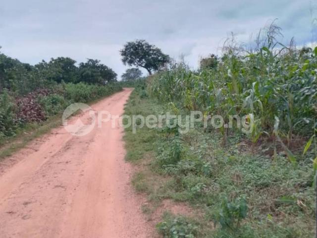 Buy 2000 Acres Of Farm Land With C Of O in Iseyin Oyo 3LYPF | PropertyPro Nigeria