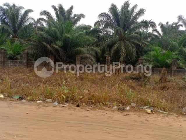 Buy 20 Plots Of Land For Sale At Sapele Road Bypass in Ikpoba Okha Edo 3MUEA | PropertyPro Nigeria