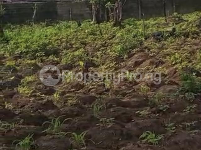 Buy 2 And Half Plot Of Land in Owerri Imo 8MXSN | PropertyPro Nigeria
