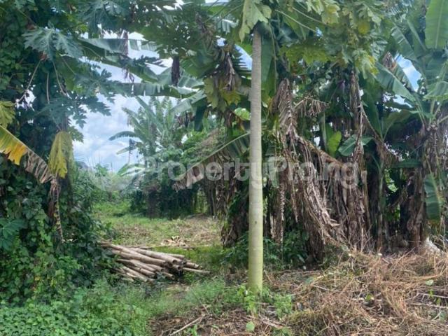 Buy 2 Plots Of Land in Akure Ondo 3MBGP | PropertyPro Nigeria