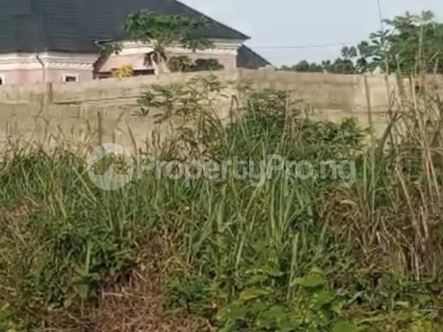 Buy 2 Plots Of Land in Owerri Imo 9MXSN | PropertyPro Nigeria