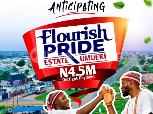Buy 464 Sqm Land in Anambra 0LXTE | PropertyPro Nigeria