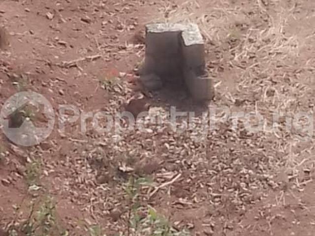 Buy 4 Hectares Of Strategic Farmland in Gwagwalada Abuja 9NABL | PropertyPro Nigeria