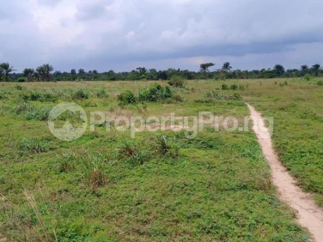 Buy 500sqm Land in Etche Rivers 1LRVM | PropertyPro Nigeria
