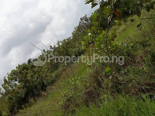 Buy 5 Acres Of Land in Origanrigan, Ibeju Lekki Lagos 2NHSD | PropertyPro Nigeria