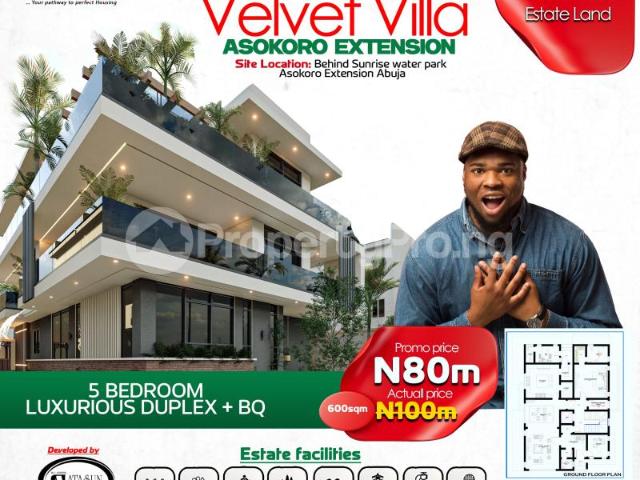 Buy 600 Sqm Of Land in Asokoro Abuja 2LZBY | PropertyPro Nigeria