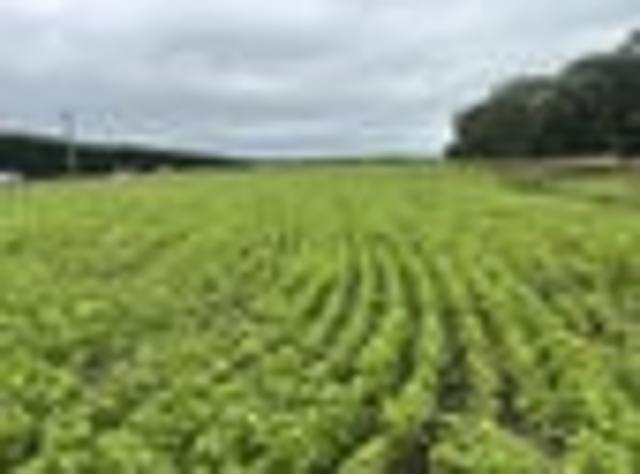 Buy 6.8ha get 9.2 ha