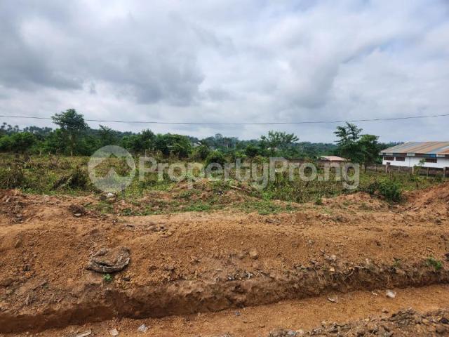 Buy Land At Osogbo in Osogbo Osun 5NNZD | PropertyPro Nigeria