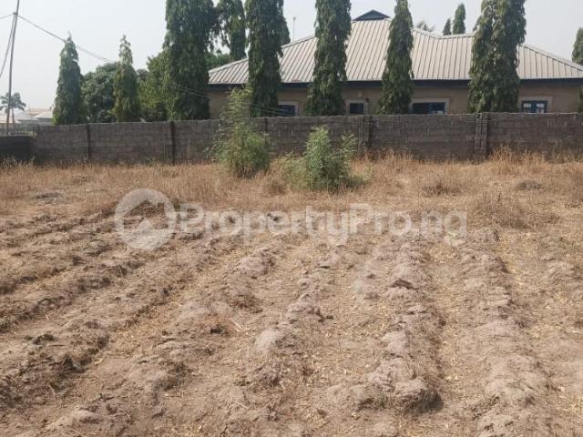 Buy 780sqm Land in Kurudu Abuja 0MMFM | PropertyPro Nigeria