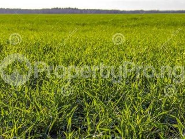 Buy 80 X 100m Land in Kurudu Abuja 3LTYD | PropertyPro Nigeria