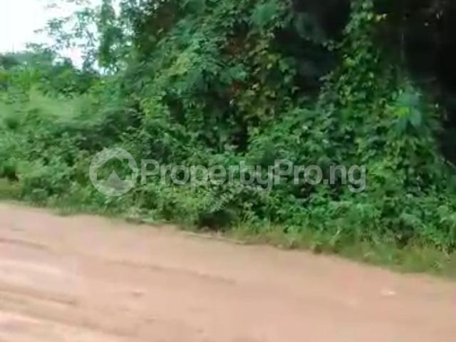 Buy 875 Acres Of Land in Odogbolu Ogun 7MDUK | PropertyPro Nigeria