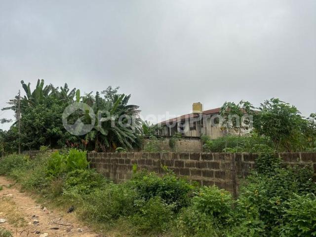 Buy A Plot Of Land in Akala Express, Ibadan Oyo 1MEBA | PropertyPro Nigeria