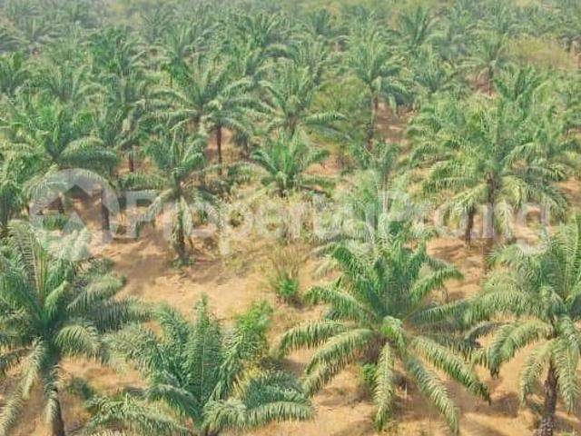 Buy Agricultural Land in Epe Road, Epe Lagos 1LZYG | PropertyPro Nigeria