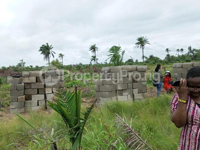 Buy Daisyland Phase 2 in Akodo Ise, Ibeju Lekki Lagos 6MRBJ | PropertyPro Nigeria