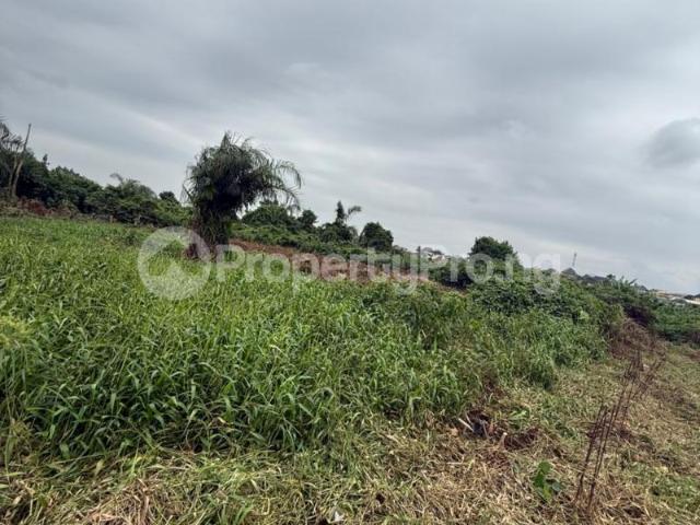 Buy 2 Plots Of Land in Ikotun, /Igando Lagos 6NLDG | PropertyPro Nigeria