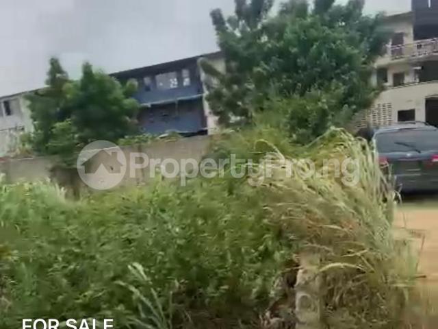 Buy For Sale Half Plot Of Land At Gbagada Phase 2 in Gbagada Phase 2, Gbagada Lagos 1NHQY | PropertyPro Nigeria