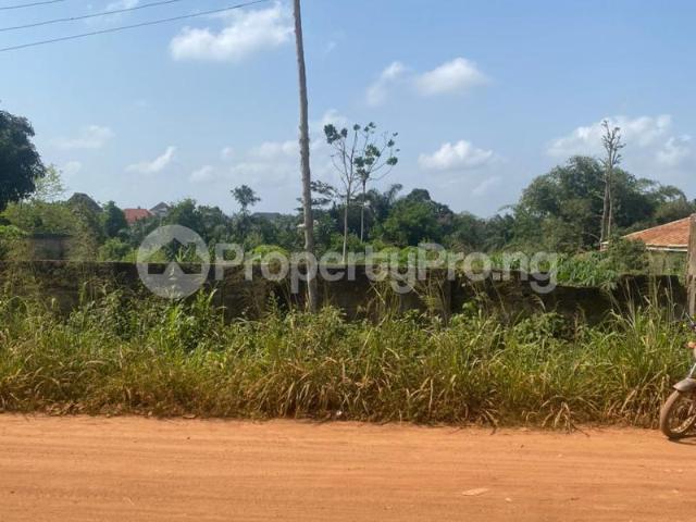 Buy Fenced And Gated 2 Plots Of Land in Akure Ondo 2MCUQ | PropertyPro Nigeria