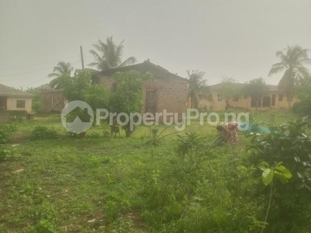 Buy Half Plot Of Land in Agbado, Ifo Ogun 8LHEL | PropertyPro Nigeria