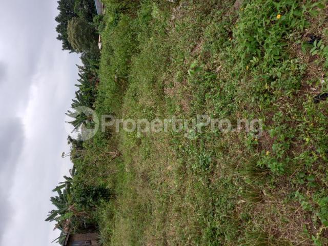 Buy Half Plot Of Land in Ifo, Ogun 1LWZU | PropertyPro Nigeria