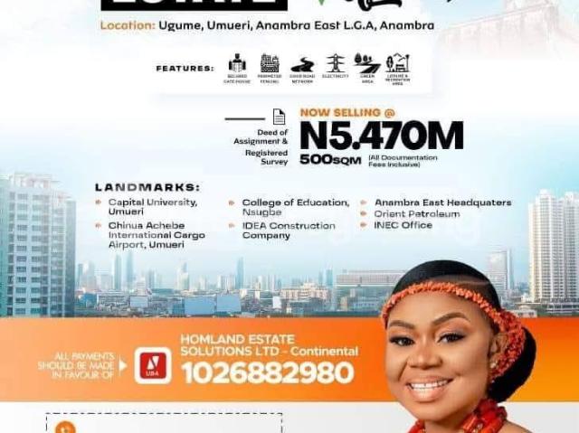 Buy Land Measuring 500sqm in Anambra East Anambra 8NFUK | PropertyPro Nigeria