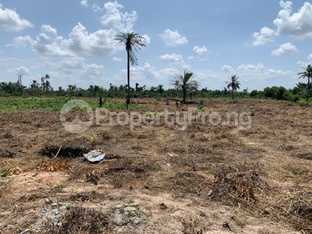 Buy Land in, Ijebu Ode Ogun 9MYQL | PropertyPro Nigeria