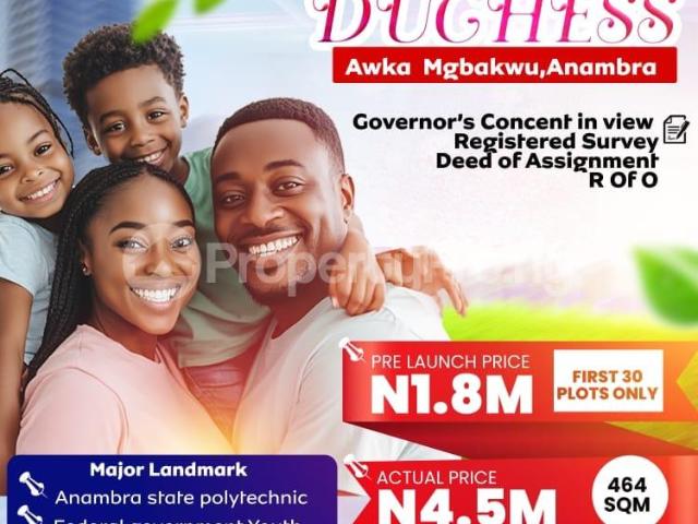 Buy Land in Anambra 5LYPK | PropertyPro Nigeria