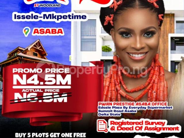 Buy Land in Asaba Delta 7NFNV | PropertyPro Nigeria