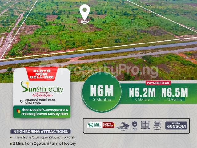 Buy Land in Asaba Delta 3MKSF | PropertyPro Nigeria
