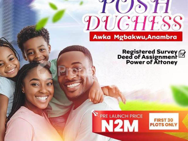 Buy Land in Awka North Anambra 1MBSF | PropertyPro Nigeria