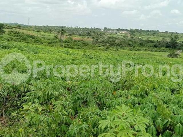 Buy Land in Ijebu East, Ijebu Ode Ogun 1MCJC | PropertyPro Nigeria
