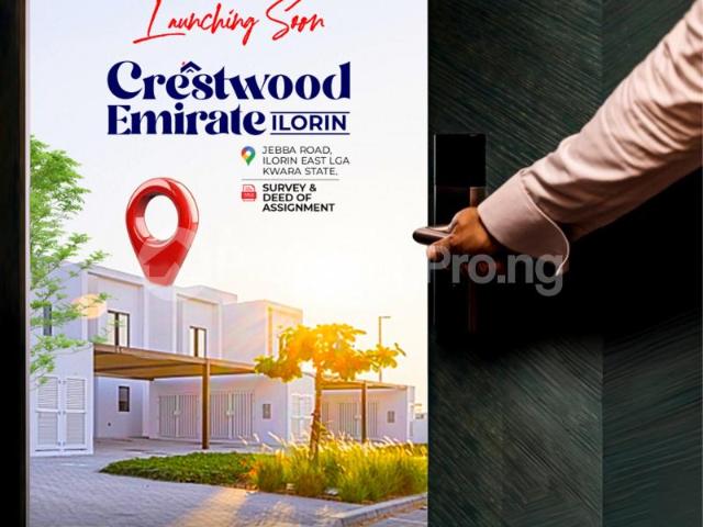 Buy Land in Ilorin Kwara 6LZQD | PropertyPro Nigeria