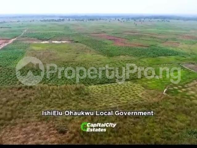 Buy Land in Ishielu Ebonyi 4MEHF | PropertyPro Nigeria
