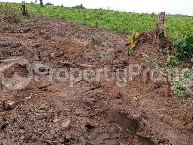 Buy Land in Sagamu, Ogun 6LWWA | PropertyPro Nigeria