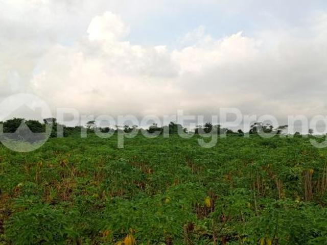 Buy Land in Sagamu Ogun 1LYDS | PropertyPro Nigeria