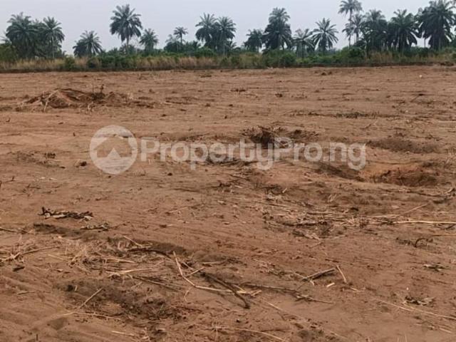 Buy Land Measuring 300sqm in Aba Abia 1MTUZ | PropertyPro Nigeria