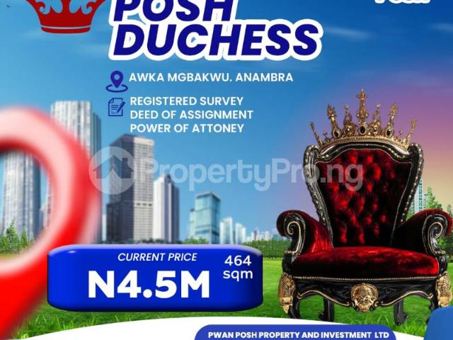 Buy Land Measuring 464sqm in Awka North Anambra 5NABJ | PropertyPro Nigeria