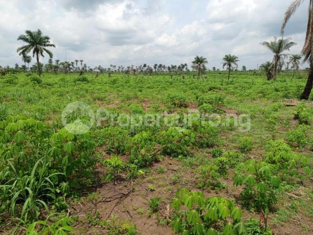Buy Land Measuring 500sqm in, Ijebu Ode Ogun 6LKPV | PropertyPro Nigeria