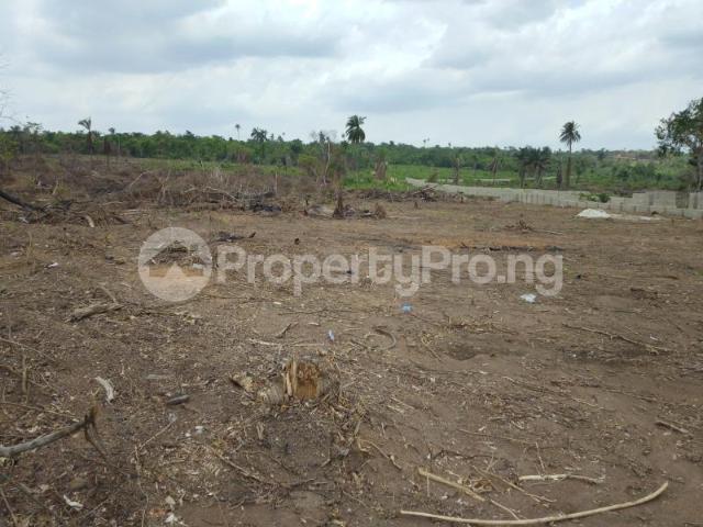 Buy Resorts in Ikorodu Lagos 9MTKM | PropertyPro Nigeria