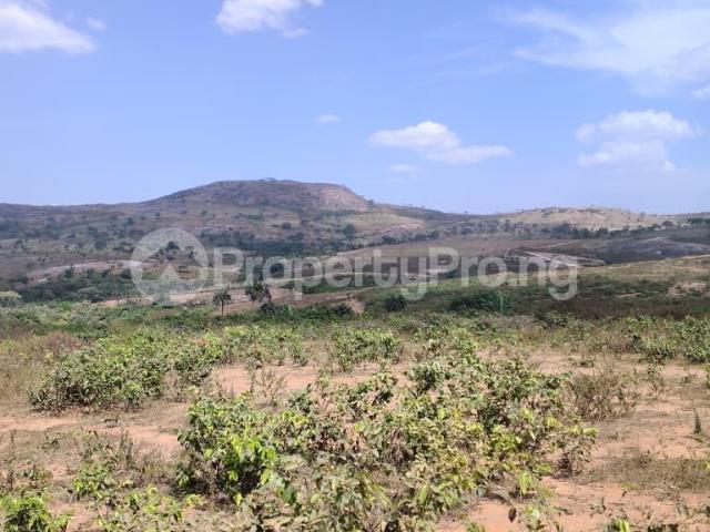 Buy Well Positioned 2 Hectares Land in Karshi Abuja 3NYMG | PropertyPro Nigeria