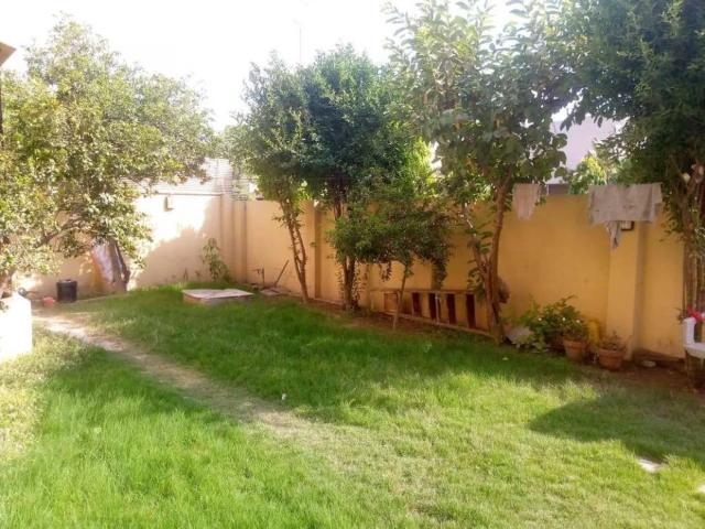 Buy Your Dream House and Start Living In DHA Lahore DHA Phase 2 ID 19607