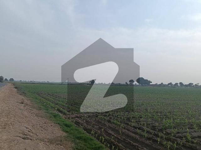Buying A 800 kanal Agricultural Land In near Thermal power muzaffar Garh