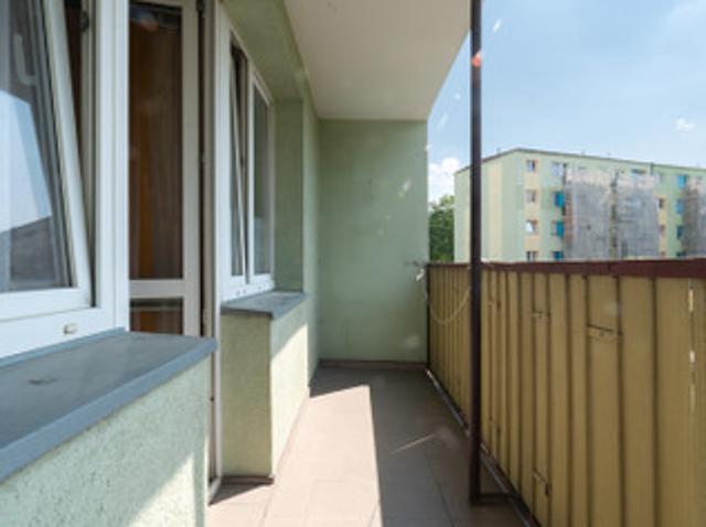 Bydgoszcz, Błonie