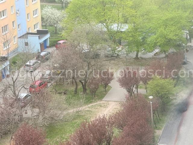 Bydgoszcz, Bartodzieje Skrzetusko Bielawki, Bartodzieje