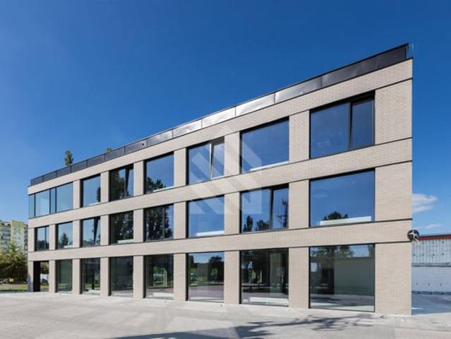 Bydgoszcz M. Bydgoszcz, Bartodzieje