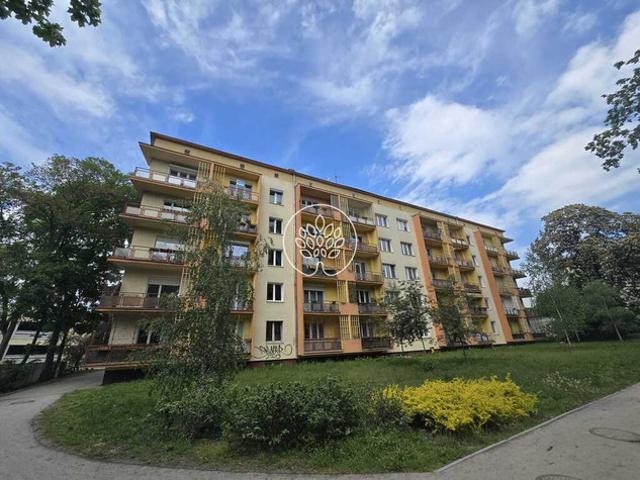 Bydgoszcz, park Ludowy im. Wincentego Witosa