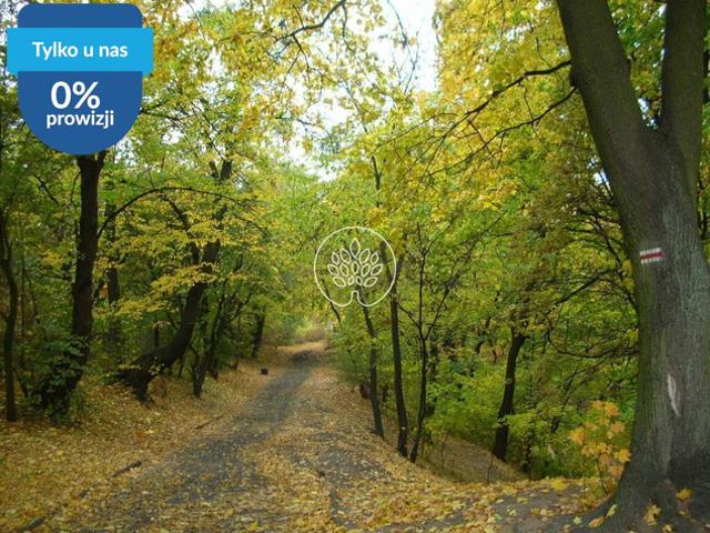 Bydgoszcz, Wzgórze Wolności, Wojska Polskiego