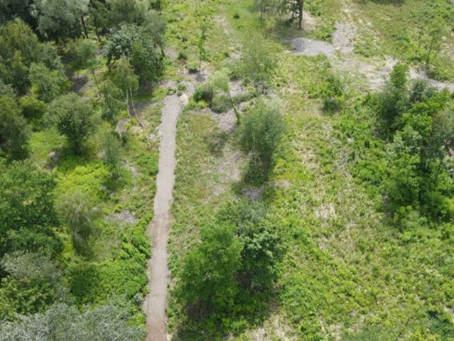 Bytom, Stolarzowice